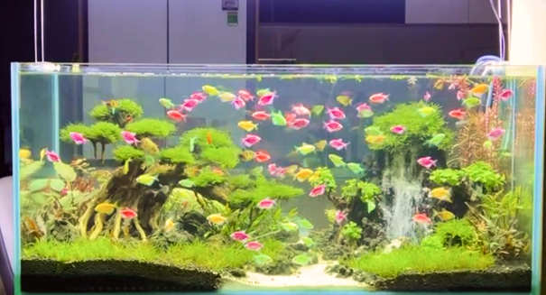 Vibrant Miniature Nature